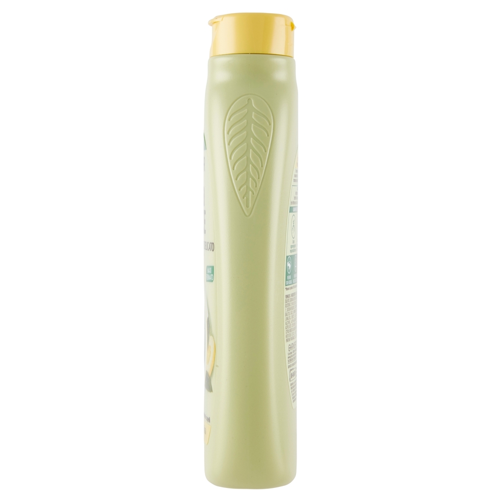 Garnier Ultra Dolce Shampoo purificante Argilla Dolce e Cedro per capelli grassi 300 ml